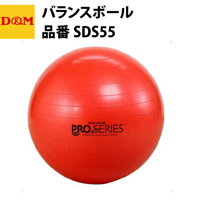 D&M ディーエム エクササイズボール 55cm SDS55 バランスボール 自宅 運動 宅トレ 家トレ 筋トレ tr20ss