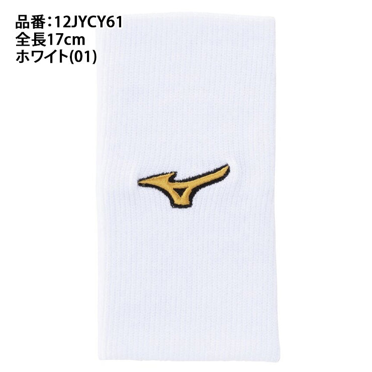 【2025モデル】ミズノプロ 限定 リストバンド ストレートタイプ 1個入り 片手用 12JYCY61 手首 野球 mizuno pro