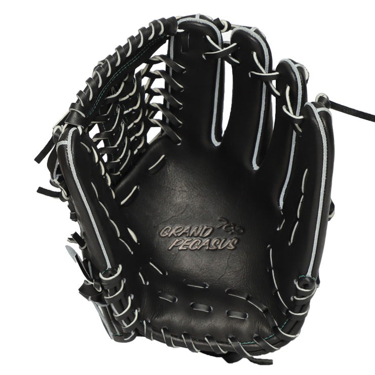 2026モデル】ワールドペガサス 硬式 軟式 兼用 グローブ グラブ オール