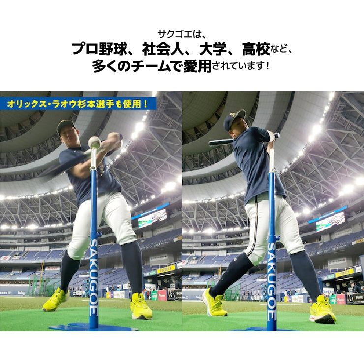 サクゴエ 12 SAKUGOE XII PUT式 バッティングティー ver.12 ティー