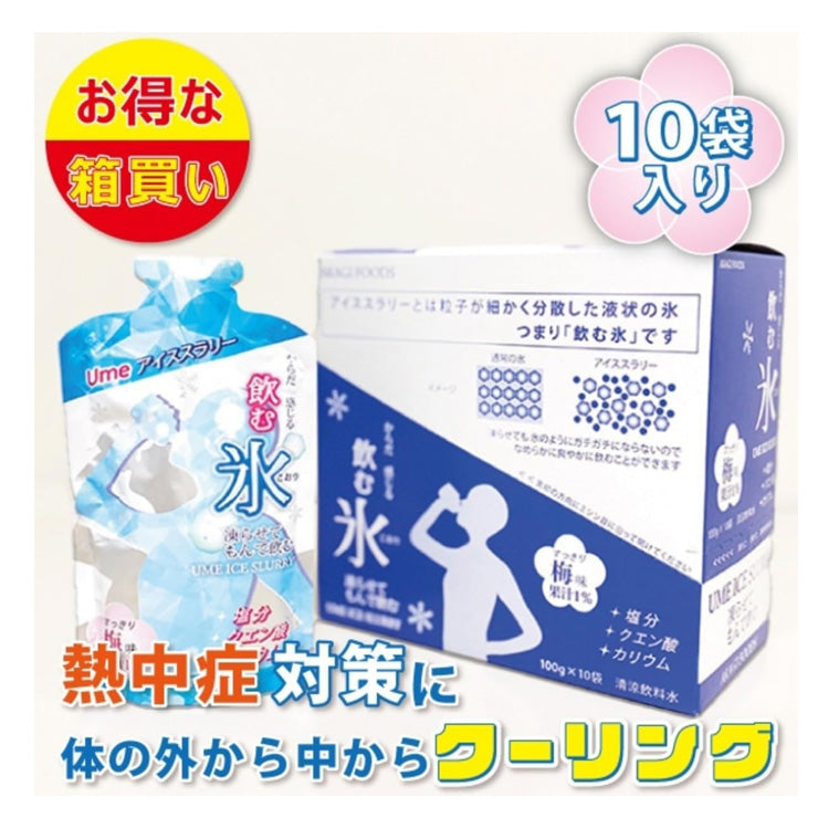 赤城フーズ 飲む氷 アイススラリー 100g×10個入り 梅味 ソルティーレモン味 箱売り Ume SaltyLemon 猛暑対策 熱中症対策 暑さ対策 ドリンク 飲み物 冷却 冷やす 夏